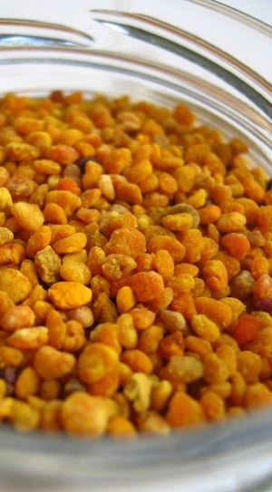 orange beans thumbnail