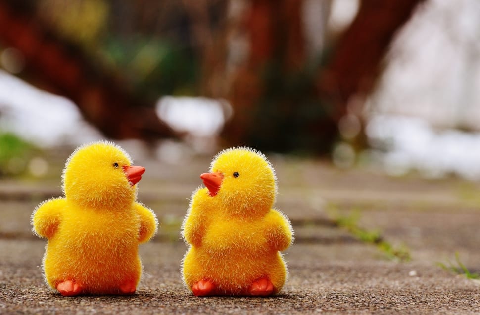selective focus photography of two yellow duckling plush toys preview