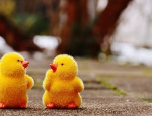 selective focus photography of two yellow duckling plush toys thumbnail