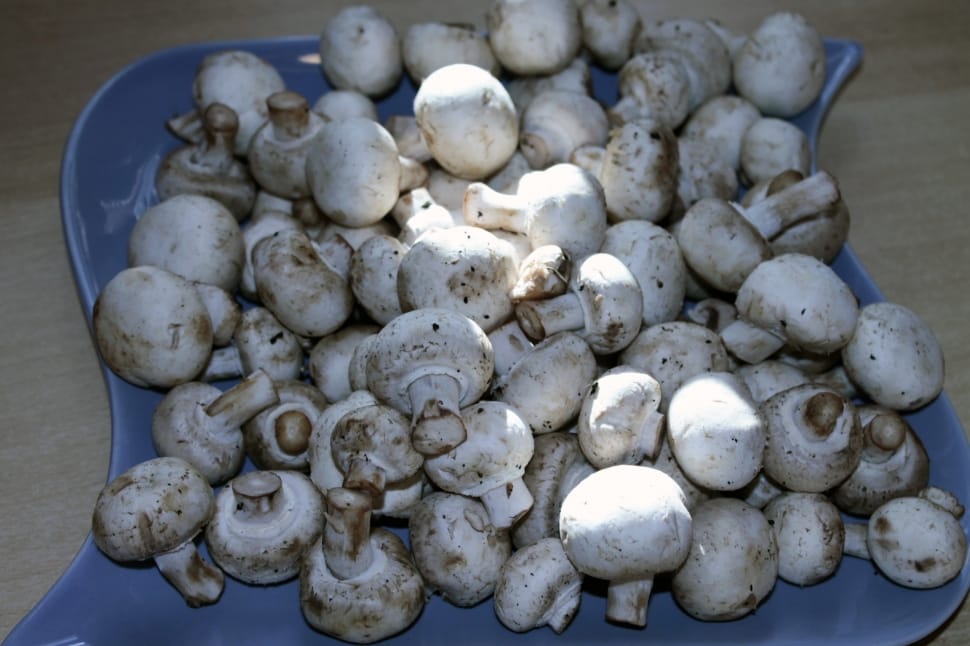 white mushrooms in ceramic tray preview