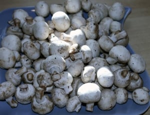 white mushrooms in ceramic tray thumbnail