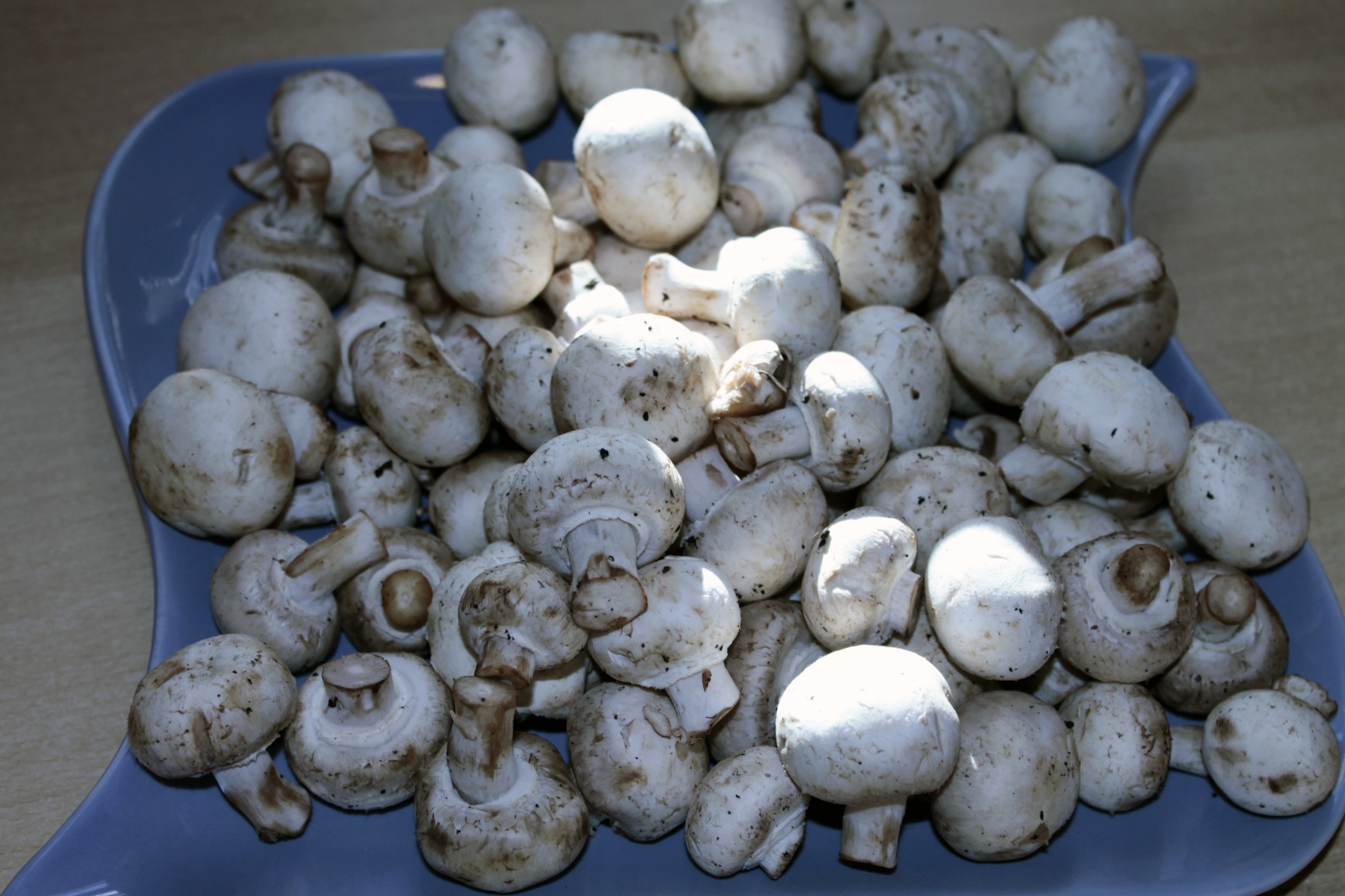 white mushrooms in ceramic tray