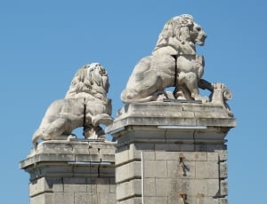 2 gray lion statues thumbnail
