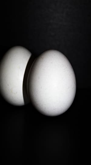 2 white chicken eggs thumbnail