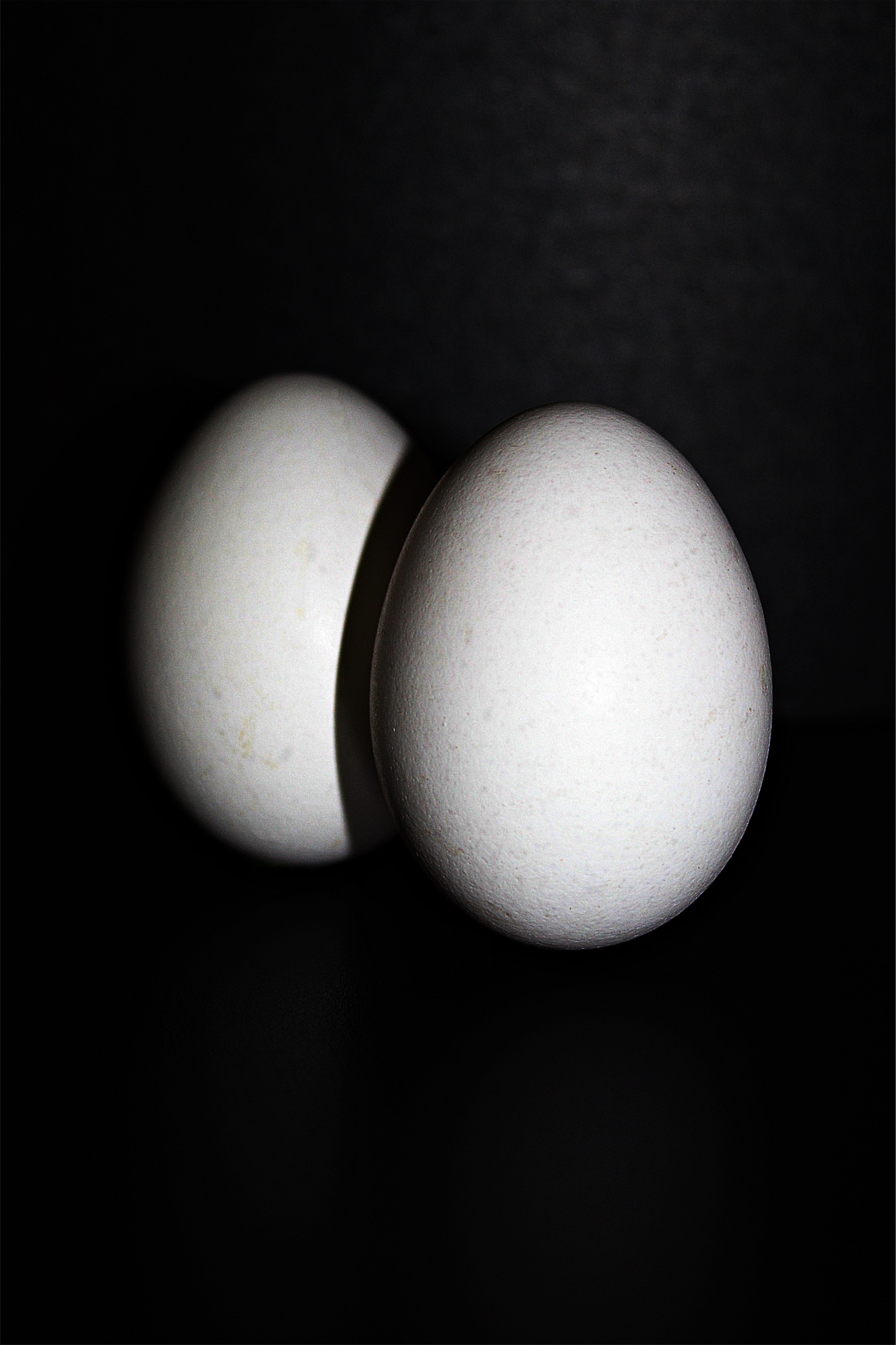 2 white chicken eggs