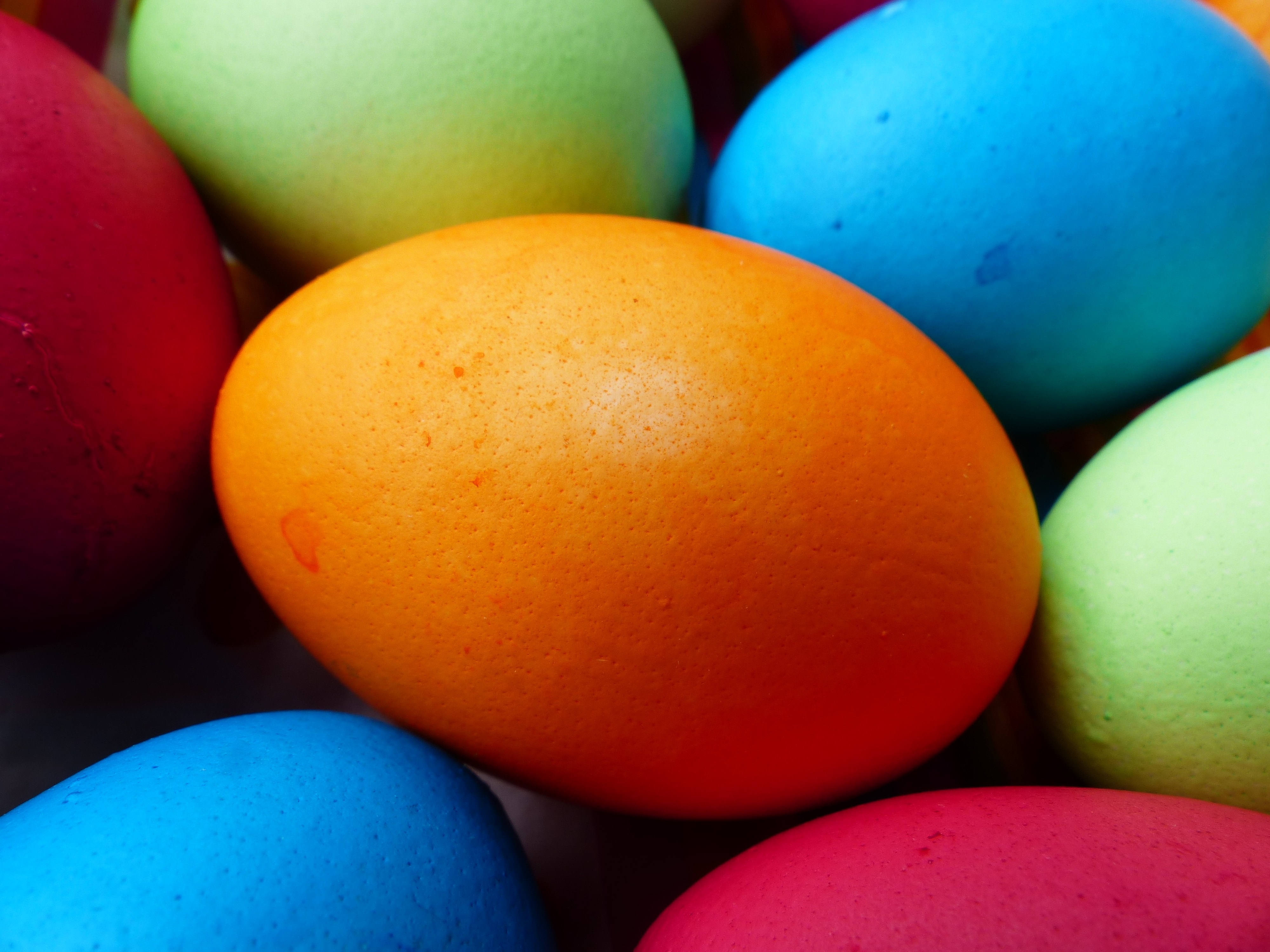 Colorful, Egg, Easter, Easter Eggs, multi colored, close-up