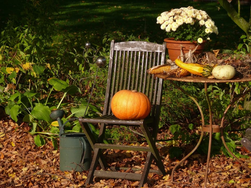 orange pumpkin and brown wooden folding chair preview
