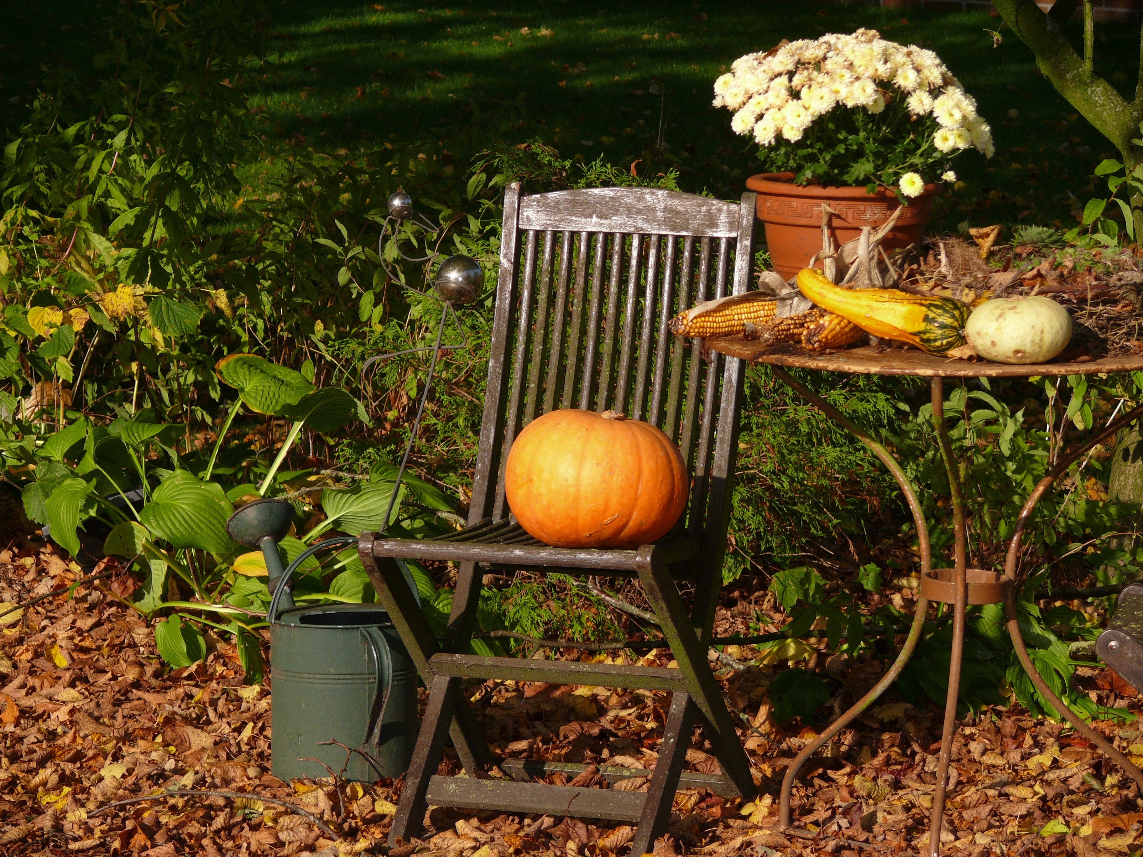 orange pumpkin and brown wooden folding chair