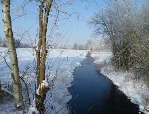 trees and body of water surrounded by snow thumbnail