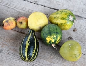 squash apples and water melon fruits thumbnail