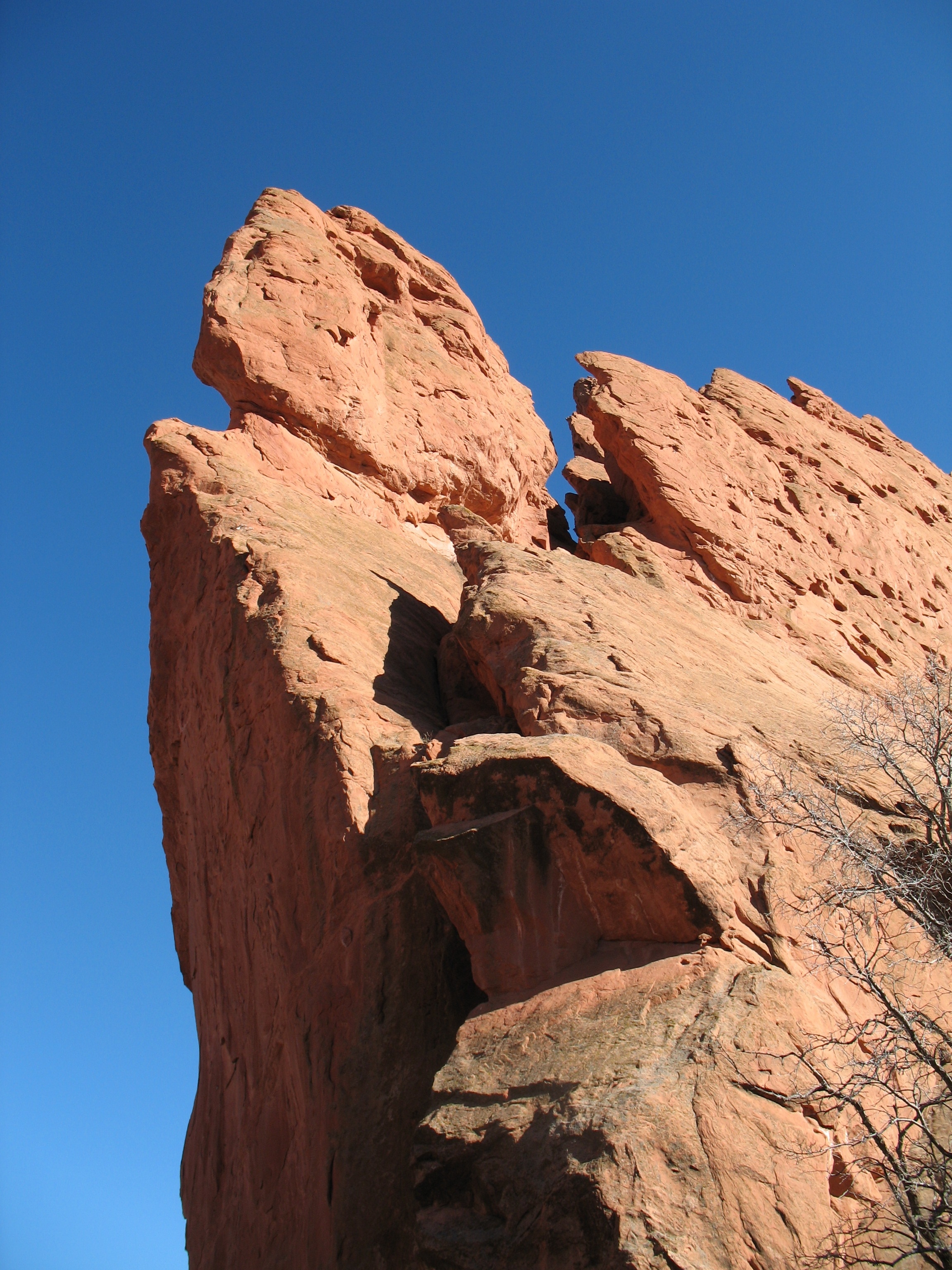 beige rock formation with gray dried branches during daytime under clear blue sky