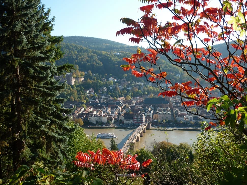 Landscape, Germany, Heidelberg, View, tree, mountain preview