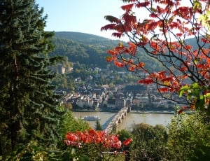 Landscape, Germany, Heidelberg, View, tree, mountain thumbnail