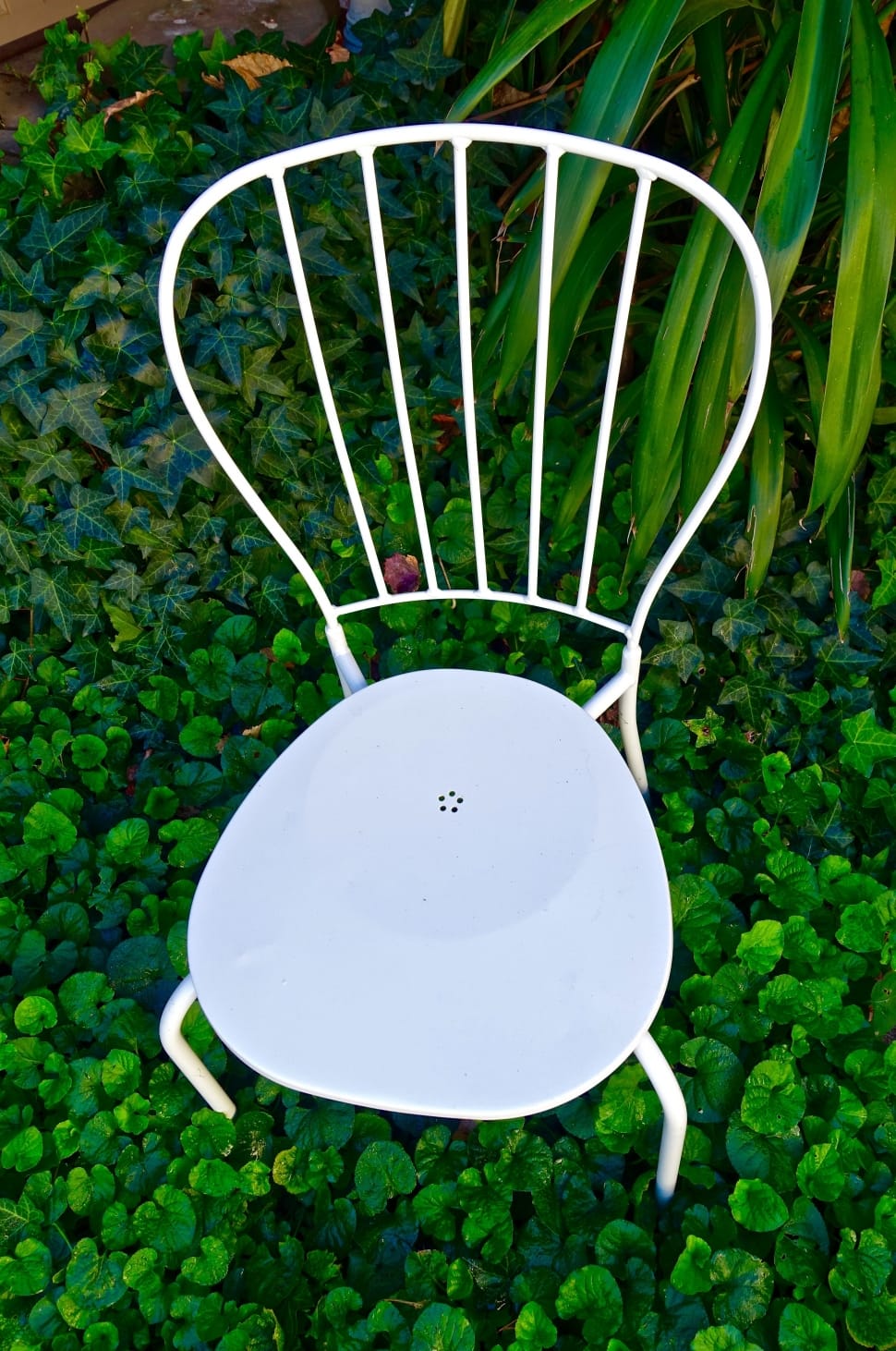 Chair, White, Quaint, Flimsy, Garden, no people, front or back yard preview