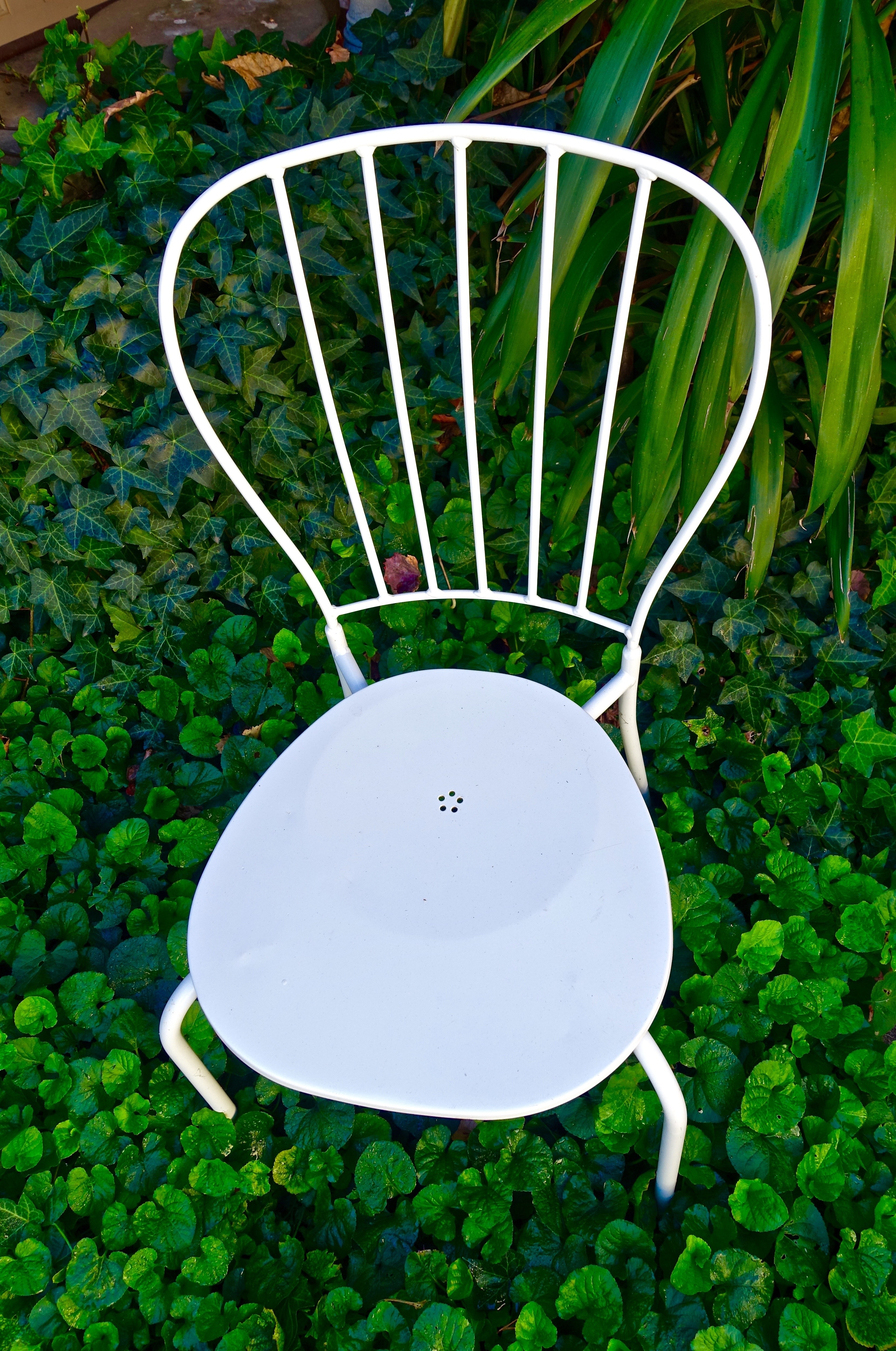 Chair, White, Quaint, Flimsy, Garden, no people, front or back yard