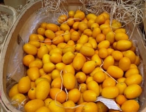 pile of kumquat fruit on brown wicker basket thumbnail