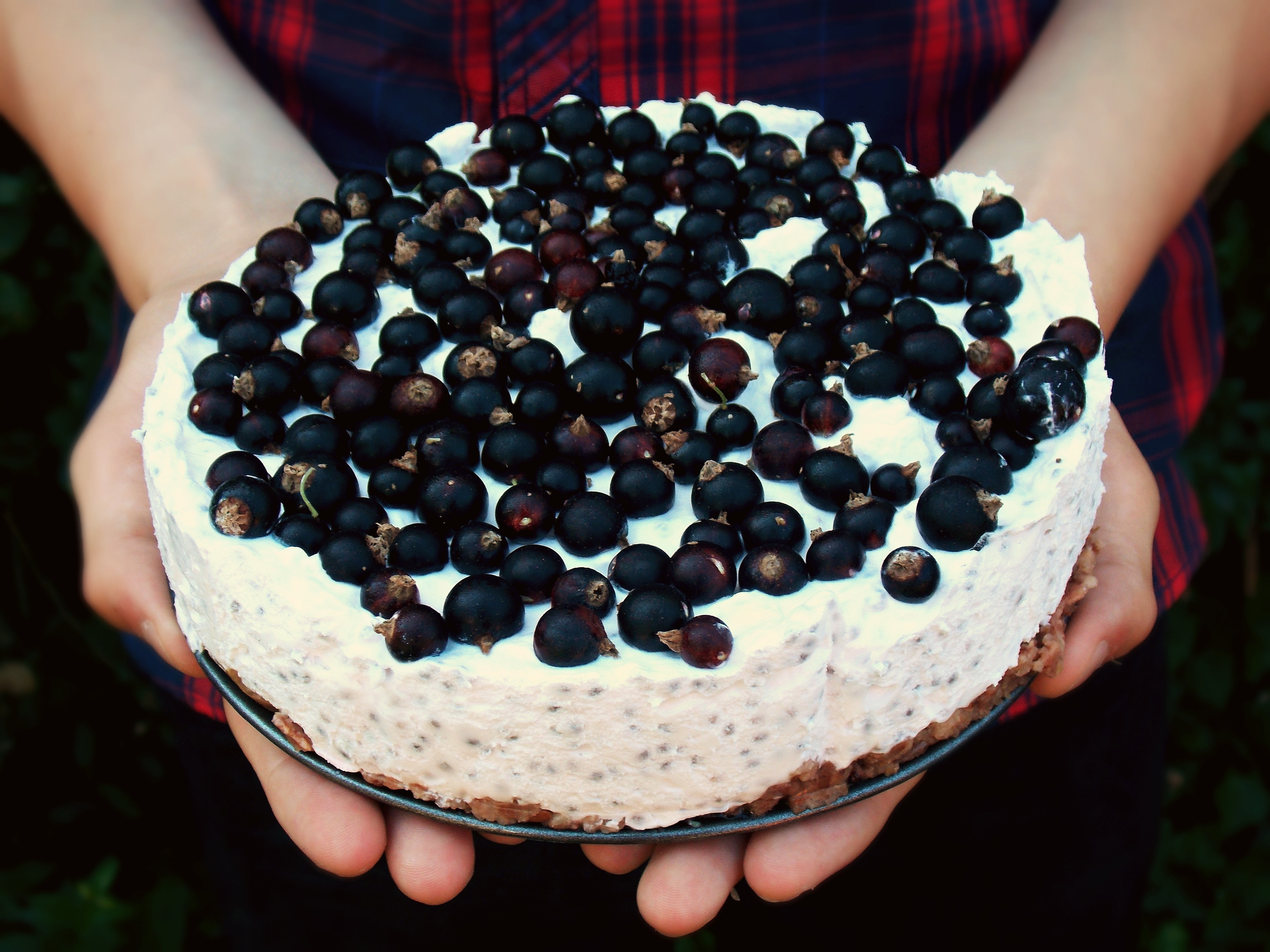berry toppings cake