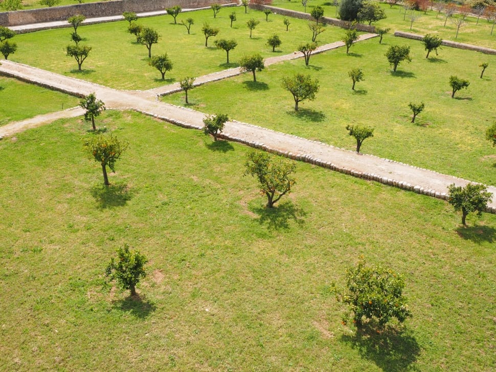 green field with hall way preview