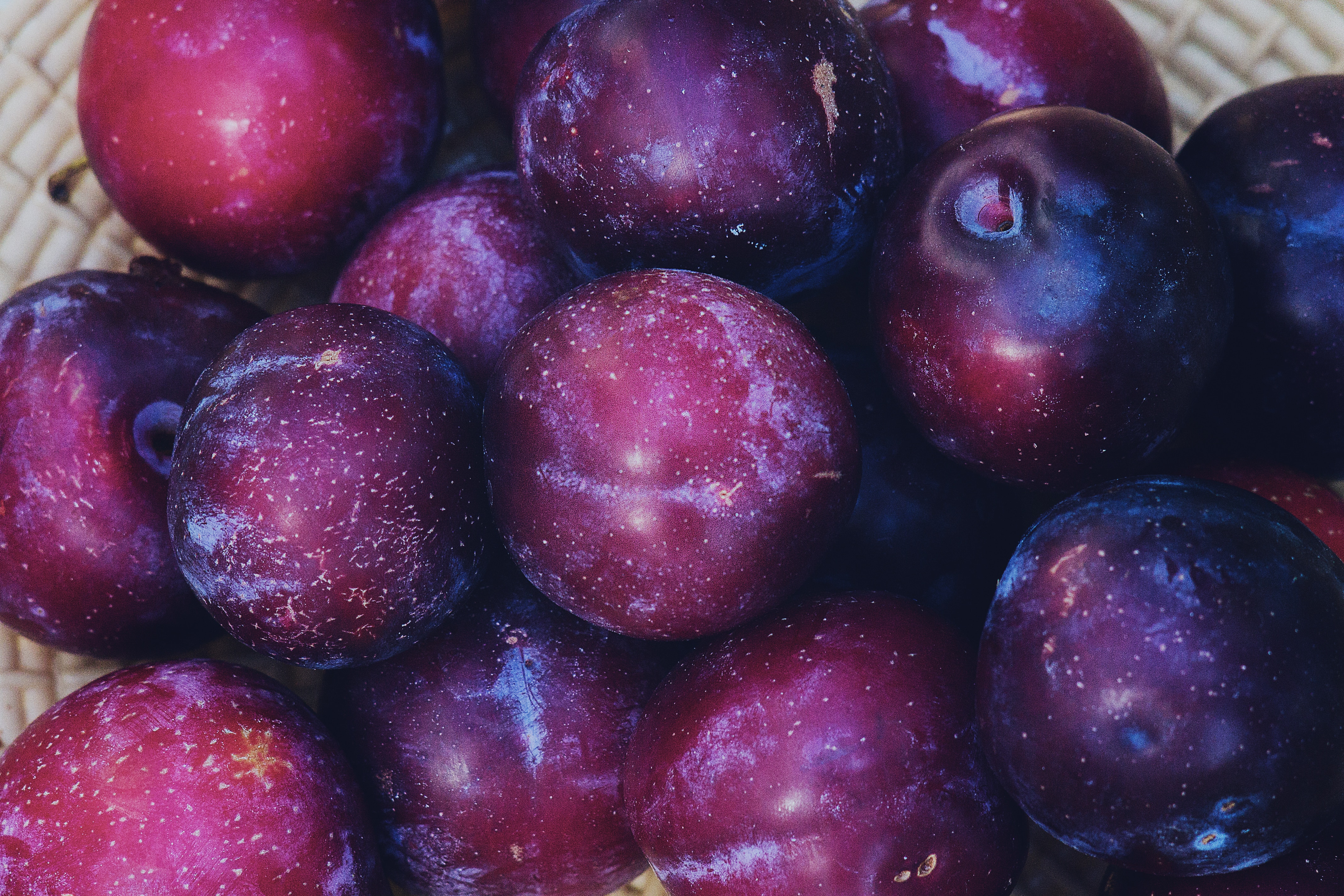 purple fruits