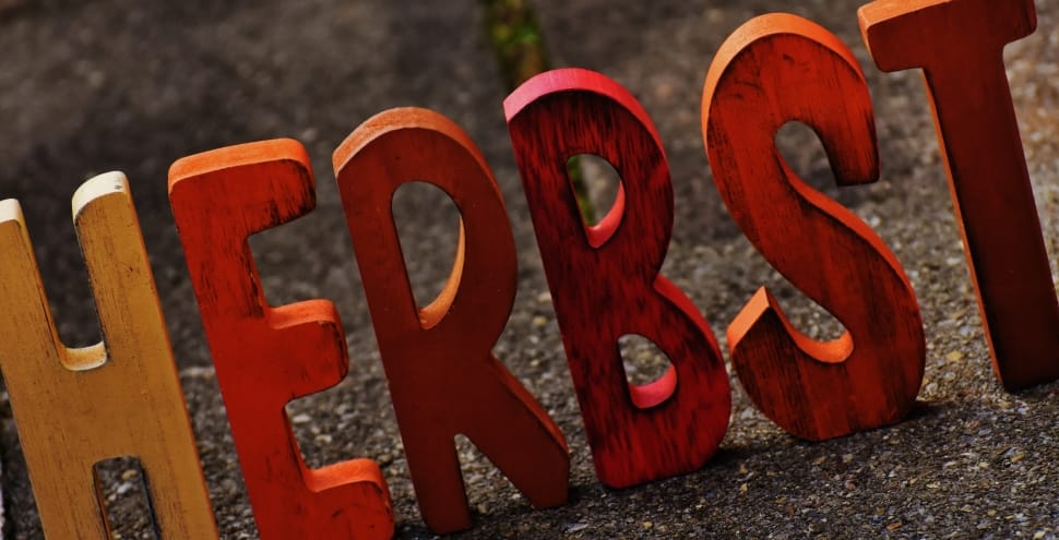 herbst wooden freestanding letters preview