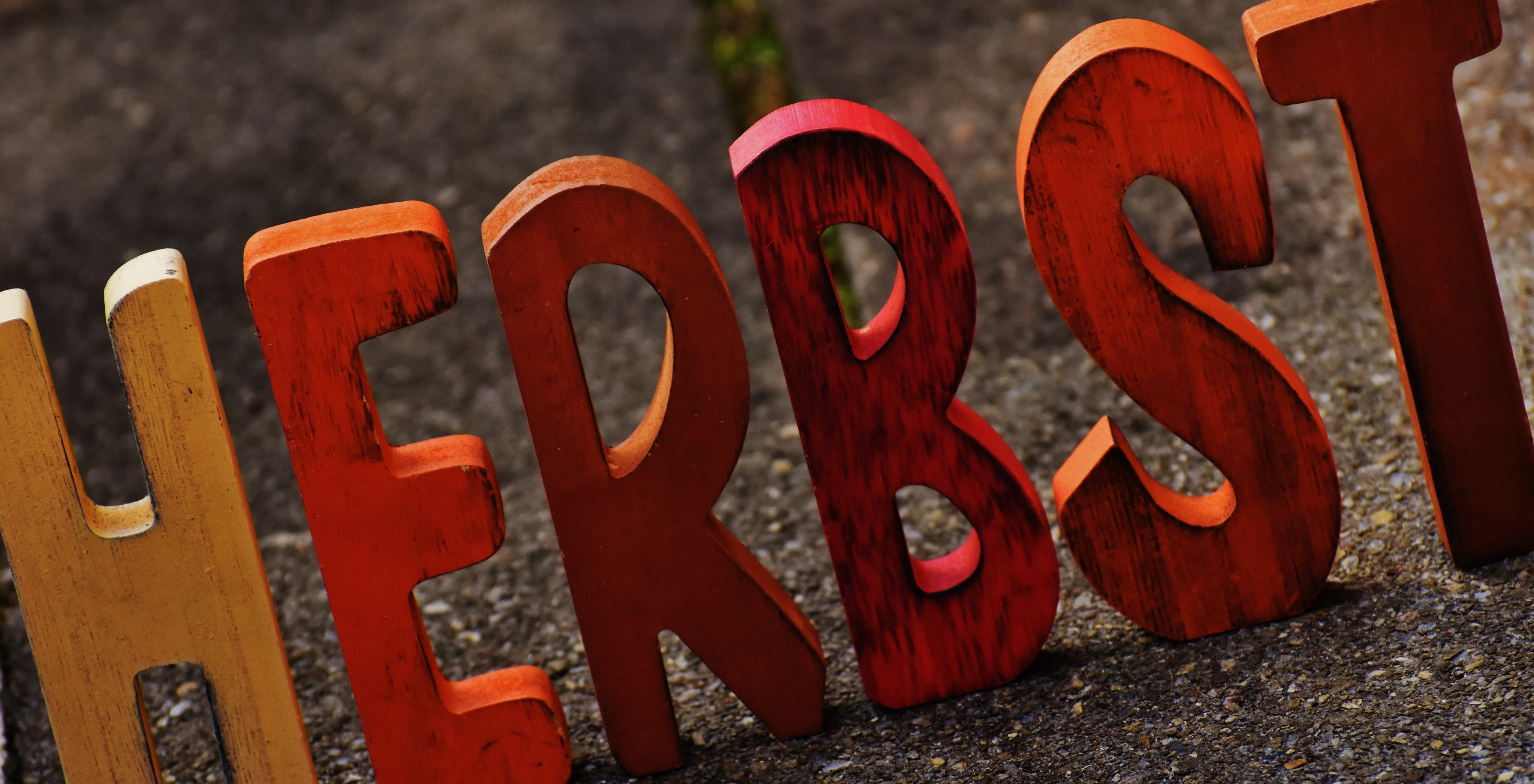 herbst wooden freestanding letters