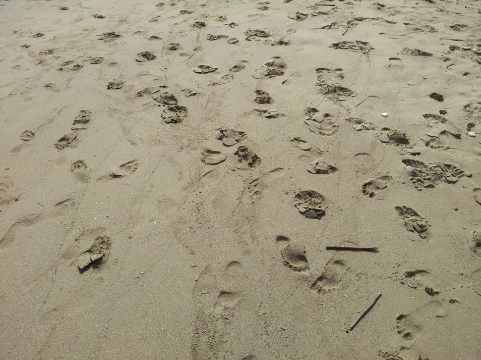 Foot, Barefoot, Tropical, Walk, Beach, footprint, sand preview