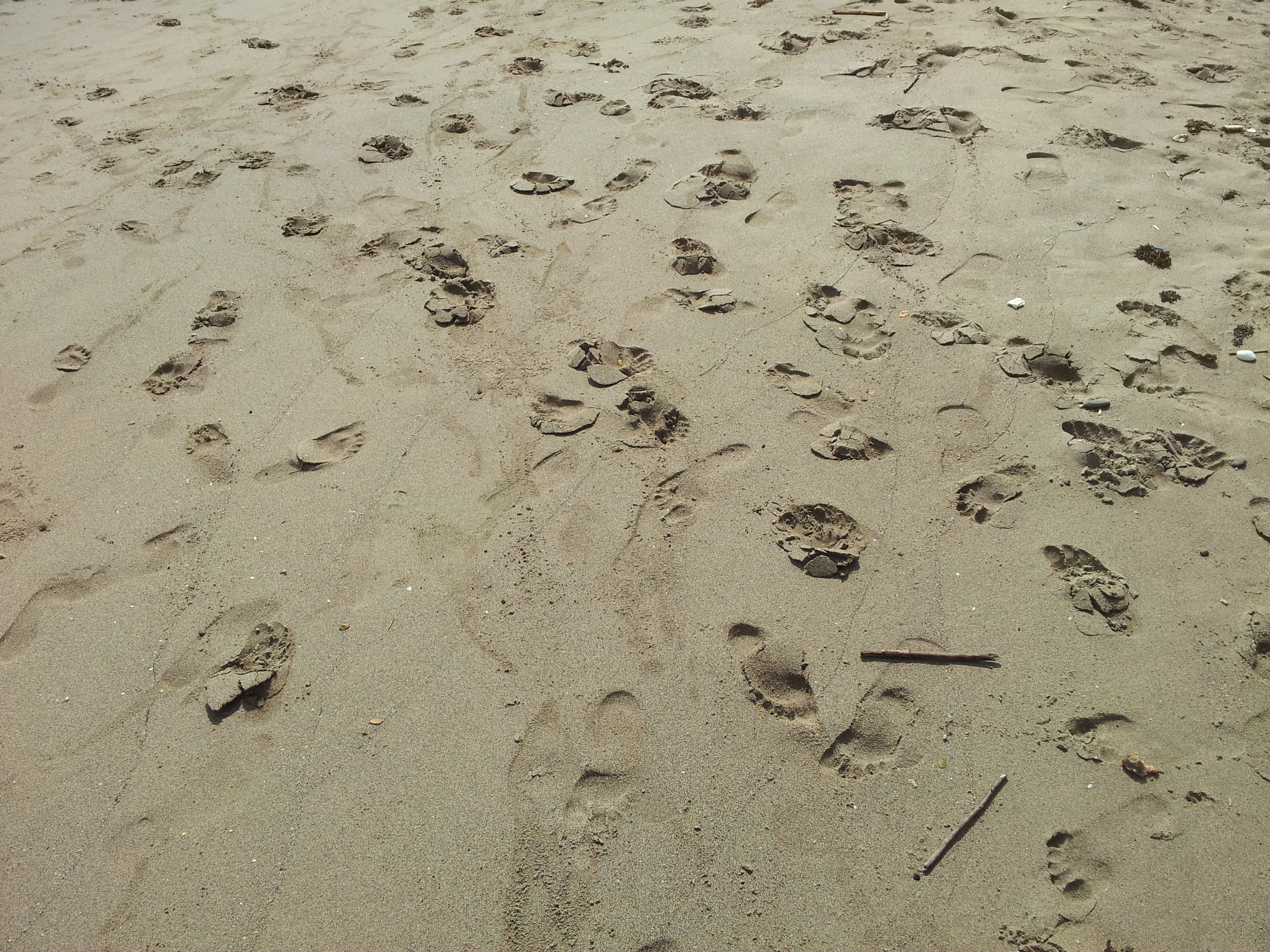 Foot, Barefoot, Tropical, Walk, Beach, footprint, sand