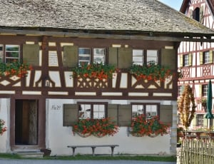 close up photo of white and brown wooden house with flowers in the windows thumbnail