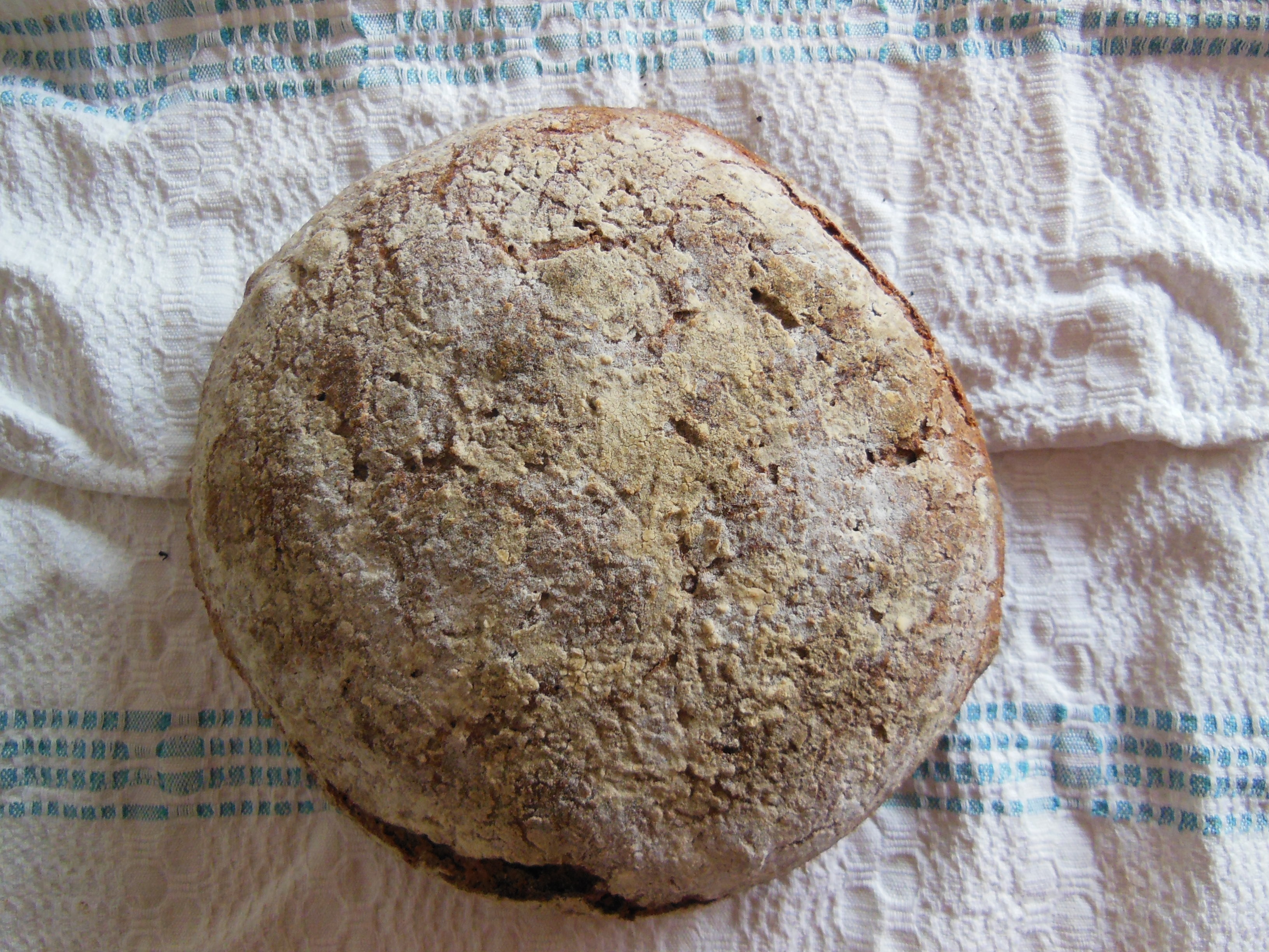 Печеный камень. Первая лепешка. Первый Печеный хлеб. Древний хлеб. Первые хлебные лепешки.