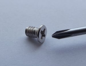 stainless steel screw and screw driver thumbnail