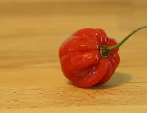 red and green bell pepper thumbnail