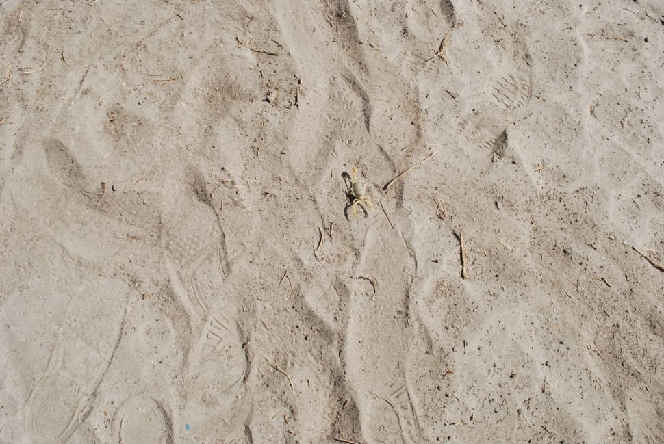 gray sand with foot prints preview