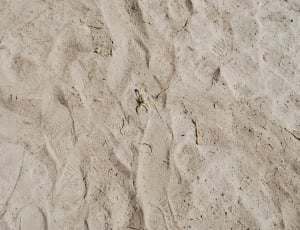 gray sand with foot prints thumbnail