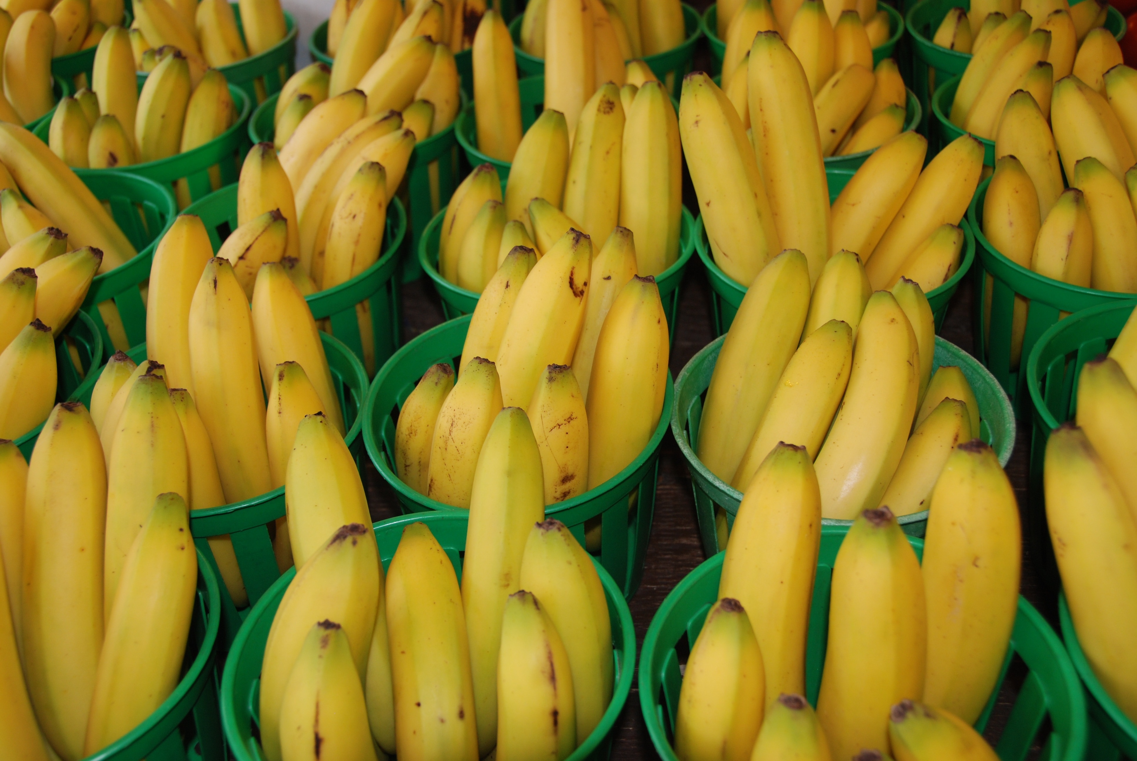 yellow banana lot