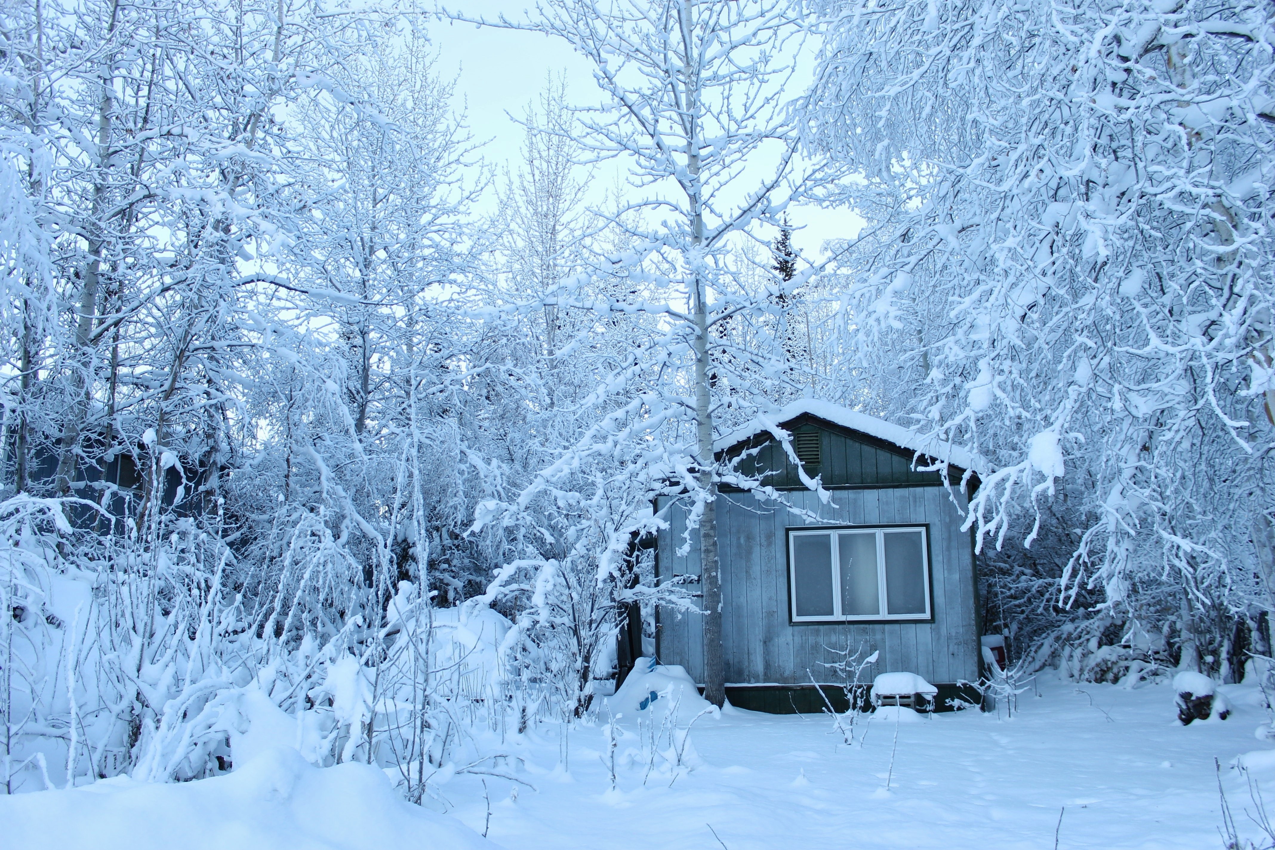 Frosty house. Занесенная снегом избушка. Домик в метель. Домик в лесу в метель. Одинокий зимний дом.