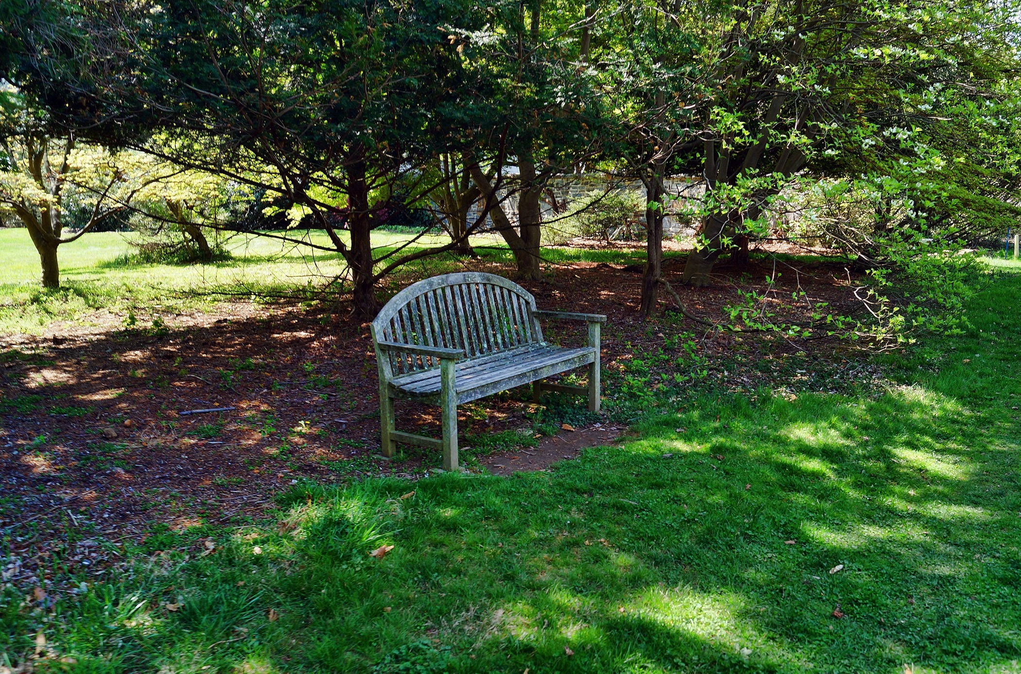 1920x1080 wallpaper | white wooden bench near grass under tree shade ...