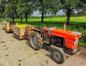 Fruit Harvest, Rural, Farm, Netherlands, agriculture, agricultural machinery thumbnail