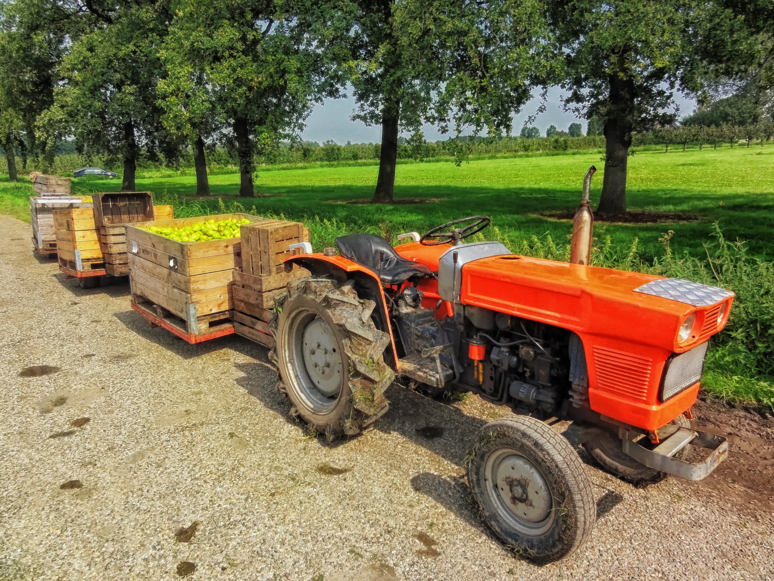 Fruit Harvest, Rural, Farm, Netherlands, agriculture, agricultural machinery