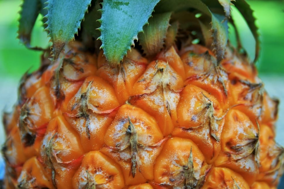 orange and green pineapple fruit preview