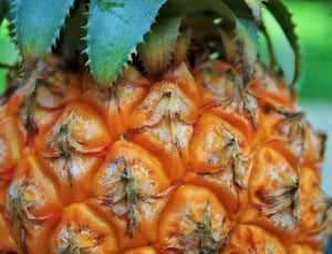 orange and green pineapple fruit thumbnail