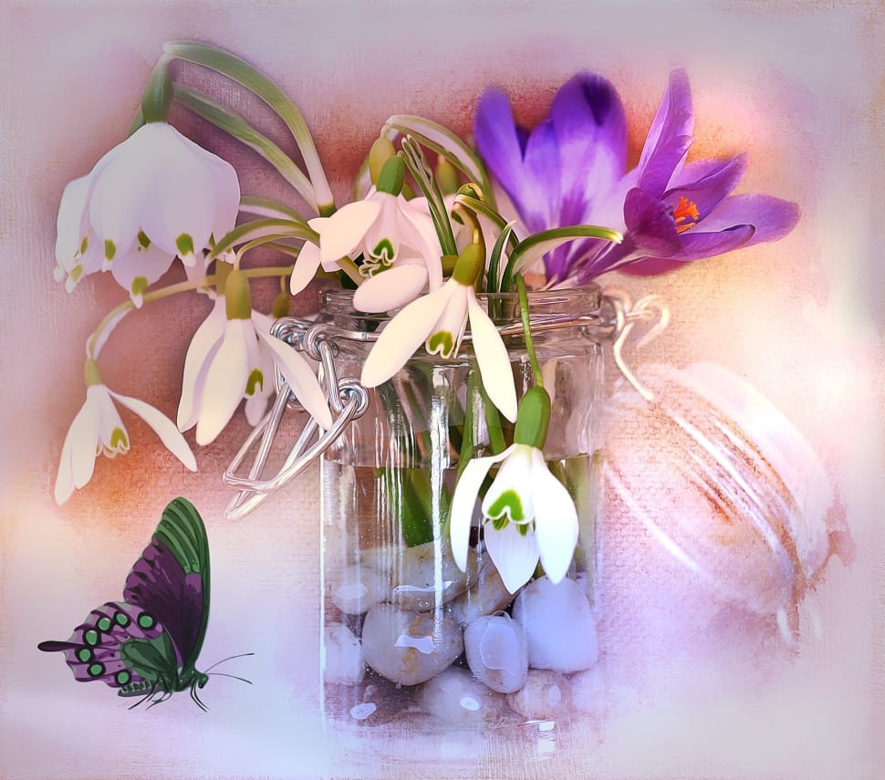 illustration of white and purple petaled flower preview