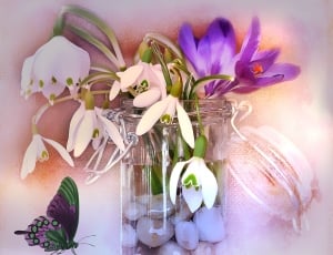 illustration of white and purple petaled flower thumbnail