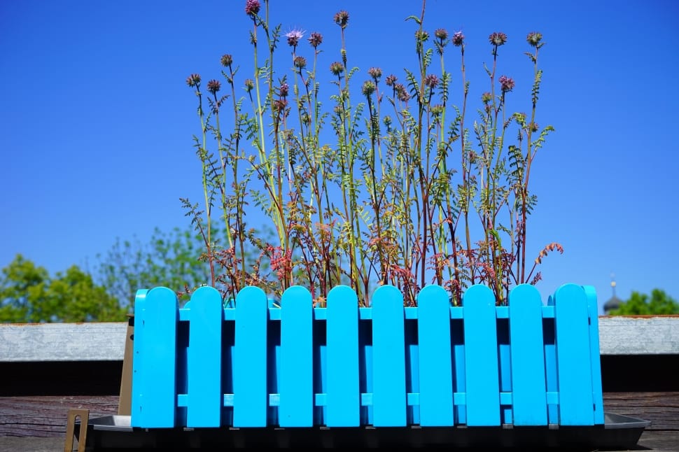 photo of blue wooden fence preview