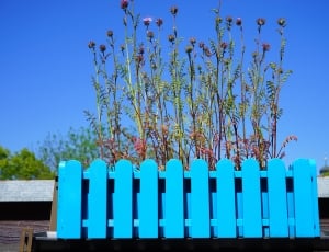 photo of blue wooden fence thumbnail