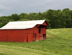 Tennessee, Gatlinburg, Field, Red, Barn, grass, built structure thumbnail