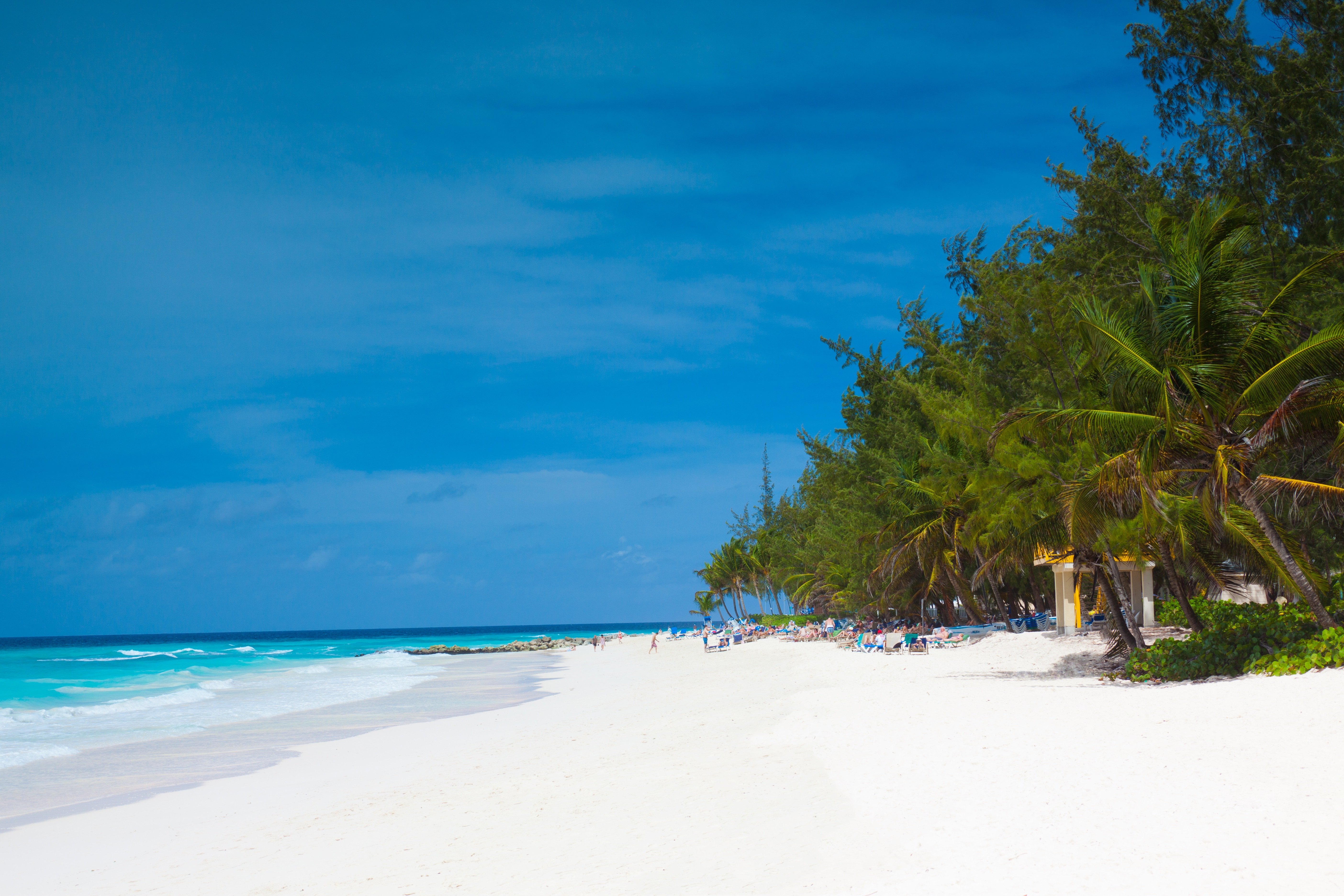 Beach, Caribbean, Barbados, Coast, sea, beach