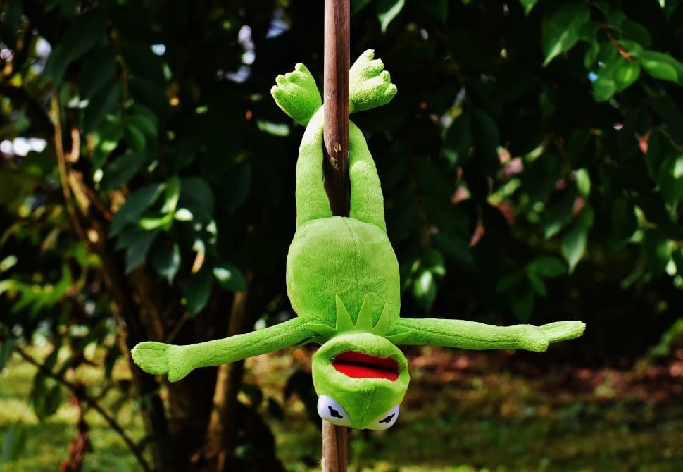 hermit the frog plush toy preview
