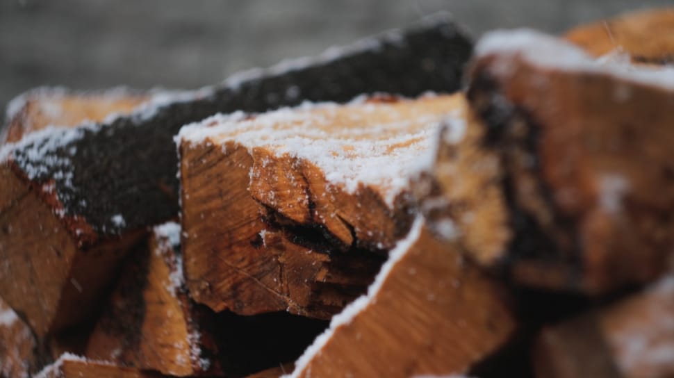 dried firewoods preview