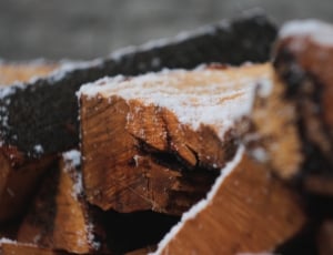 dried firewoods thumbnail