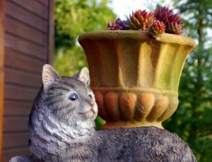 brown cat figurine near clay vase thumbnail